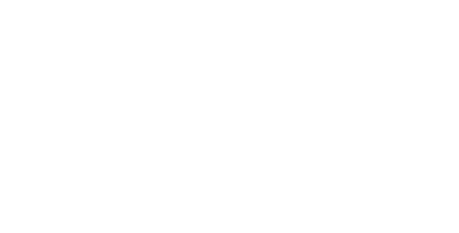 Mekra Lang